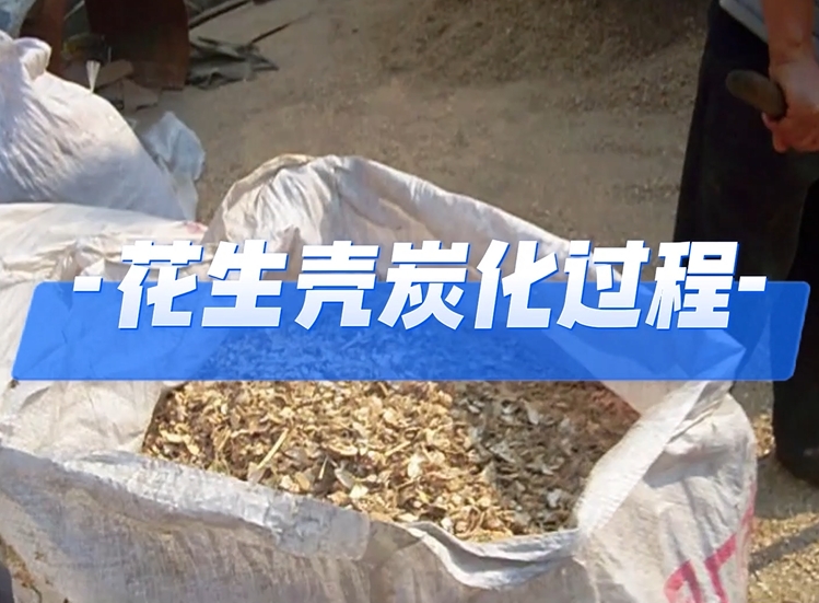 探索花生壳的91香蕉视频在线看之路,发现绿色能源的再生